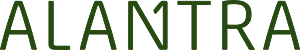 An image uploaded to Strapi called image-28
